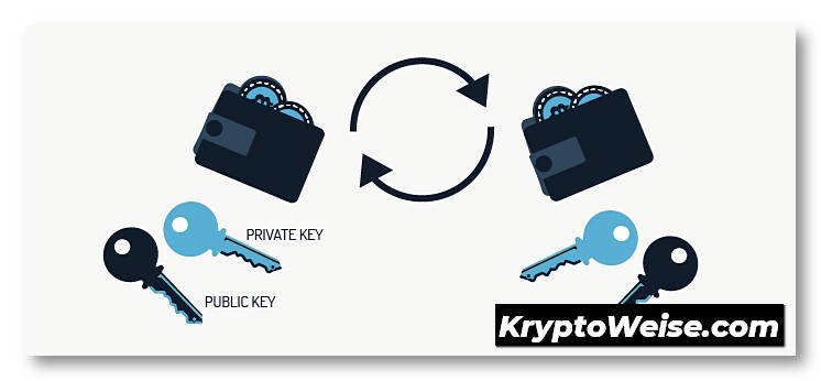 Auswahl einer Krypto-Wallet: Die 15 besten Krypto-Wallets im Überblick